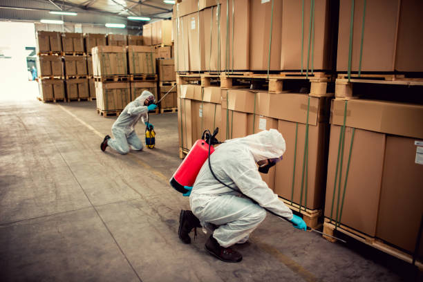 Pest Control Cost in Powell, TN