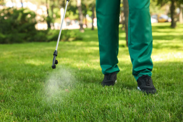 Best Emergency Pest Control  in Powell, TN