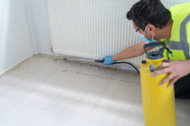 Best Mosquito Control Services  in Powell, TN